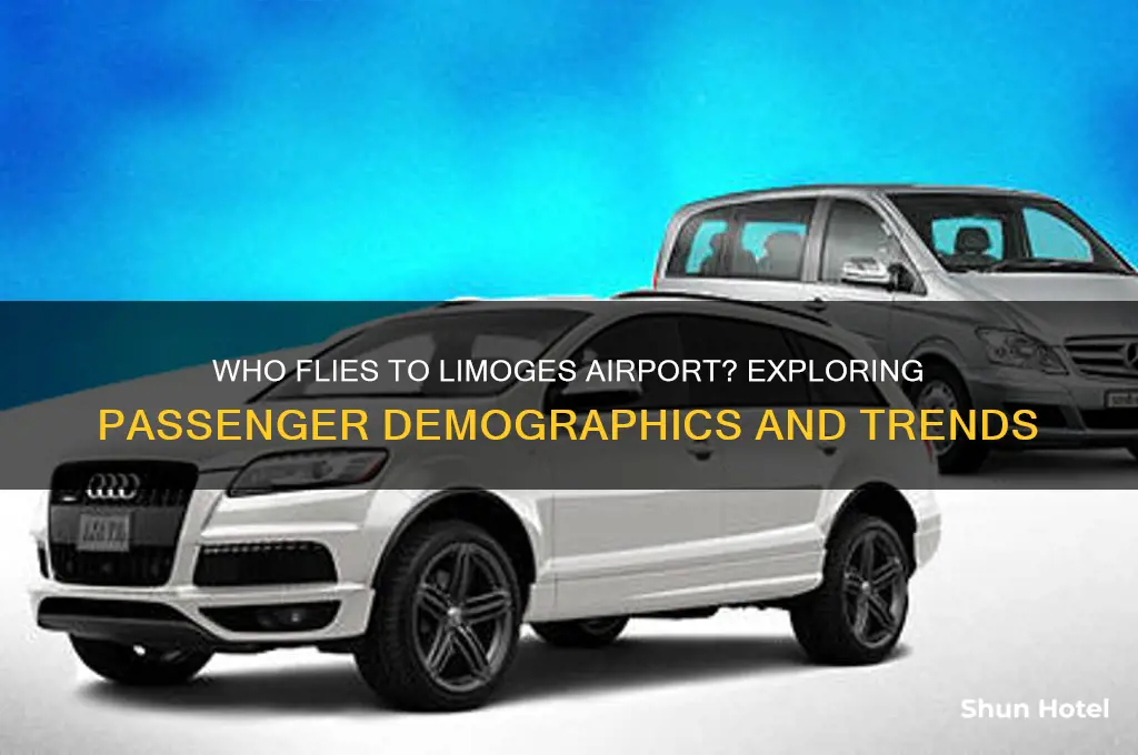 who flies to limoges airport