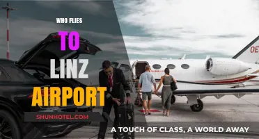 Who Flies to Linz Airport? Exploring Passenger Demographics and Trends