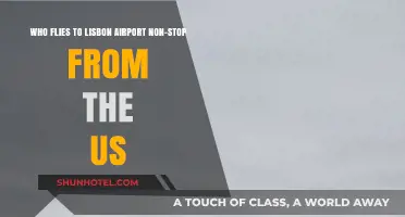 Nonstop US to Lisbon Flights: Which Airlines Connect You Directly?