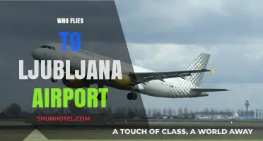 Discovering Ljubljana Airport: Who Flies to Slovenia's Capital City?
