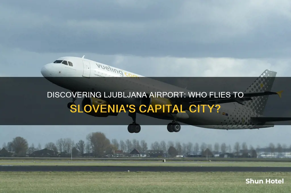 who flies to ljubljana airport