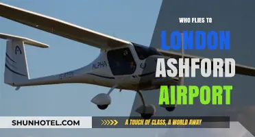 Who Flies to London Ashford Airport? Exploring Passenger Demographics