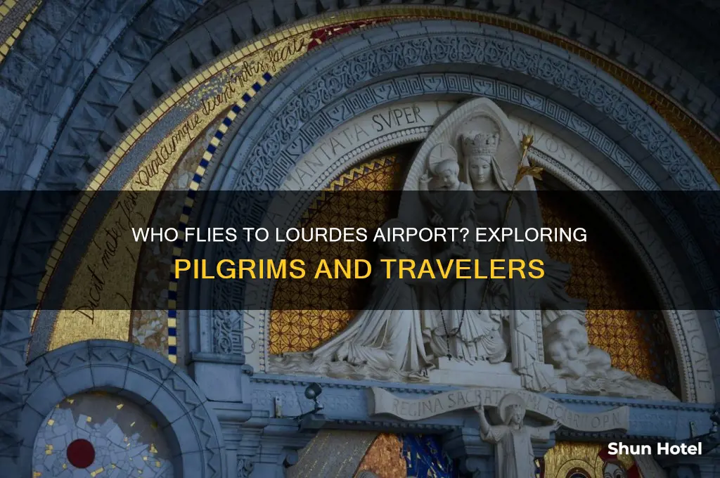 who flies to lourdes airport