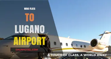 Discovering Lugano Airport: Who Flies In and Why It’s Popular