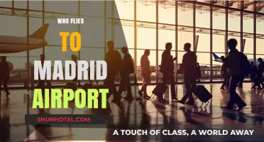 Who Flies to Madrid Airport? Exploring Passenger Demographics and Trends