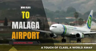 Who Flies to Malaga Airport? Top Airlines and Routes Revealed