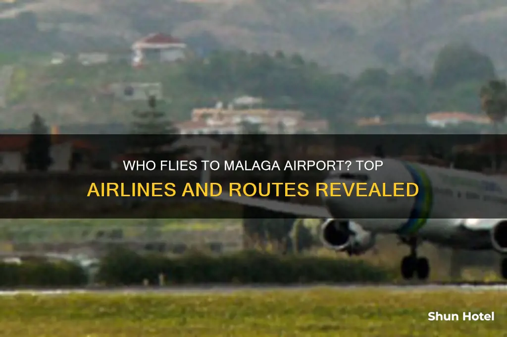 who flies to malaga airport