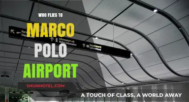 Discovering Marco Polo Airport: Who Flies to Venice's Gateway?