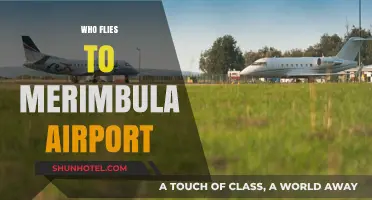 Discovering Travelers: Who Flies to Merimbula Airport and Why?