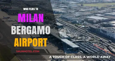 Who Flies to Milan Bergamo Airport? A Passenger Profile Overview