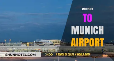 Who Flies to Munich Airport: Key Airlines and Passenger Insights