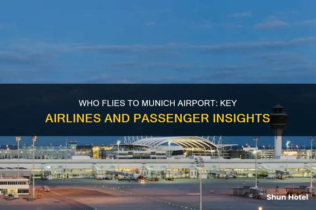 who flies to munich airport