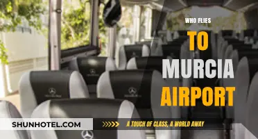 Discovering Murcia Airport: Who Flies In and Why?