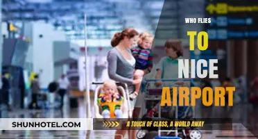 Who Flies to Nice Airport? Exploring Passenger Demographics and Trends