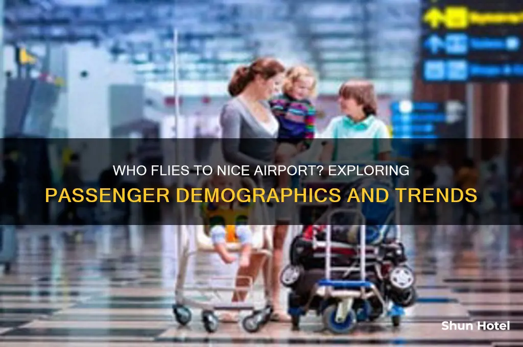 who flies to nice airport