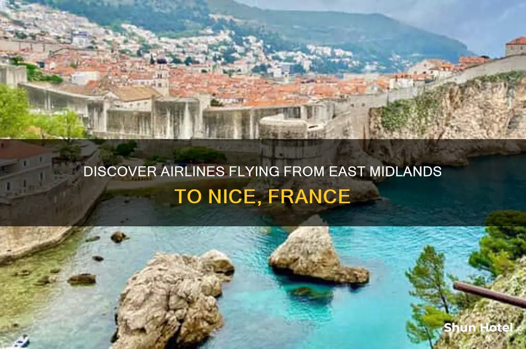who flies to nice from east midlands airport