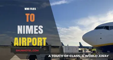 Who Flies to Nîmes Airport? Travelers, Routes, and Airlines Explained