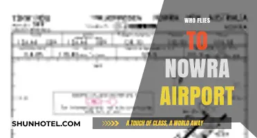 Discovering Who Flies to Nowra Airport: Passengers, Pilots, and Purposes