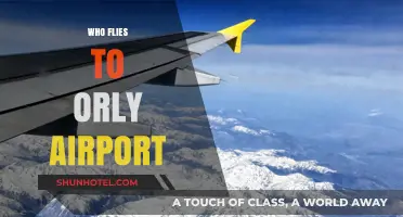 Who Flies to Orly Airport? A Comprehensive Guide to Airlines and Destinations