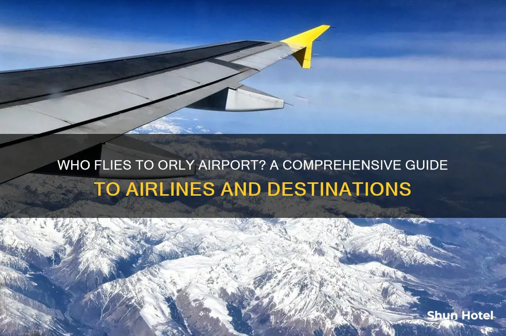 who flies to orly airport