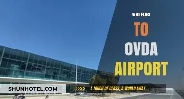 Who Flies to Ovda Airport? Exploring Popular Airlines and Routes