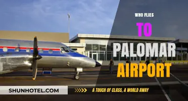 Who Flies to Palomar Airport? Exploring Its Travelers and Traffic