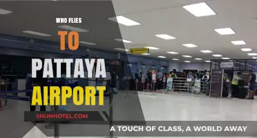 Discovering Pattaya Airport's Visitors: Who Flies In and Why?