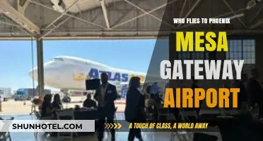 Who Flies to Phoenix Mesa Gateway Airport? Travelers and Airlines Explained