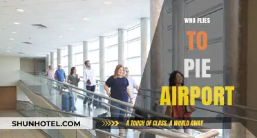 Who Flies to PIE Airport? Exploring St. Pete-Clearwater Travelers