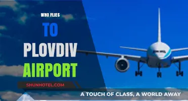 Discovering Plovdiv Airport: Who Flies In and Why It Matters