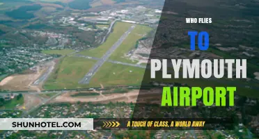 Who Flies to Plymouth Airport? Exploring Passenger Demographics and Trends