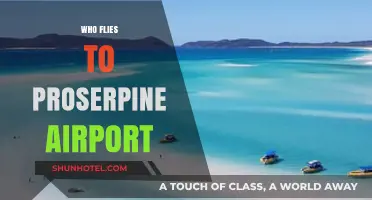 Discovering Proserpine Airport: Who Flies In and Why It Matters