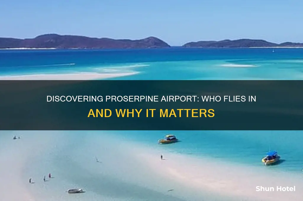 who flies to proserpine airport