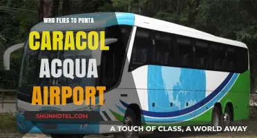 Who Flies to Punta Caracol Acqua Airport? Travelers and Routes Explained