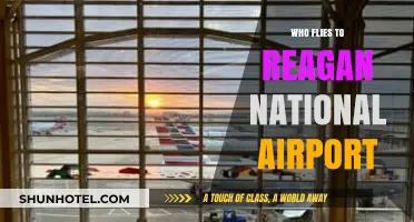 Who Flies to Reagan National Airport? A Passenger Profile Overview