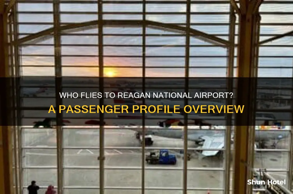 who flies to reagan national airport