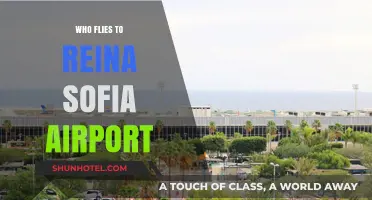 Discovering Reina Sofia Airport: Who Flies to Tenerife's Gateway?