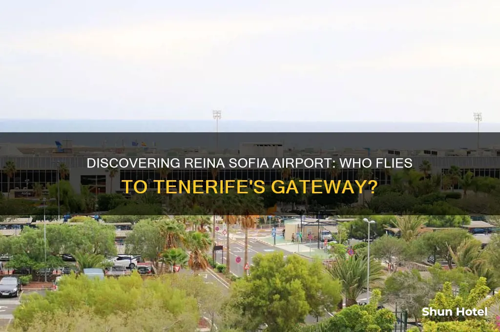 who flies to reina sofia airport