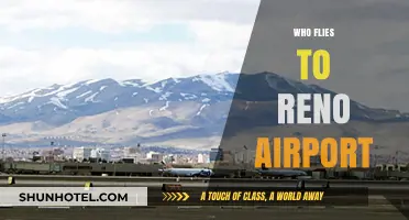 Who Flies to Reno Airport? Exploring Passenger Demographics and Trends