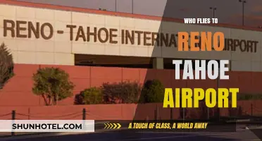 Discovering Reno Tahoe Airport's Diverse Passenger Base and Travel Trends