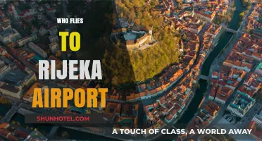 Discovering Rijeka Airport: Who Flies In and Why It Matters