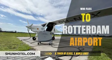 Discovering Rotterdam Airport: Who Flies In and Why?