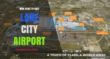 Who Flies to Salt Lake City Airport? Top Travelers & Airlines