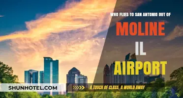 Moline IL to San Antonio: Airlines and Flight Options Explained