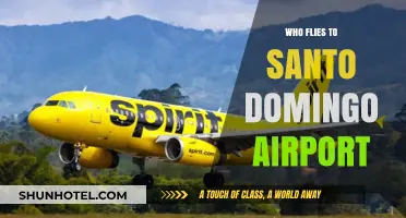 Who Flies to Santo Domingo Airport: Airlines and Routes Explained