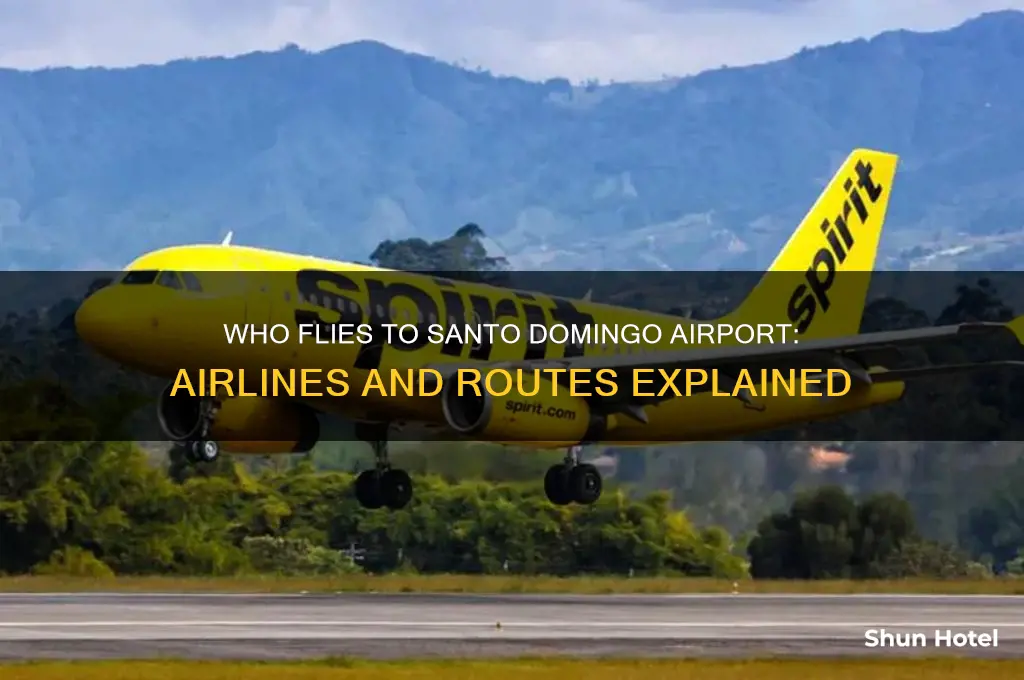 who flies to santo domingo airport