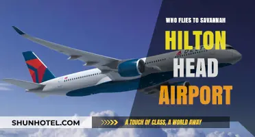 Who Flies to Savannah Hilton Head Airport? Top Airlines & Routes