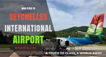 Discovering Travelers: Who Flies to Seychelles International Airport?