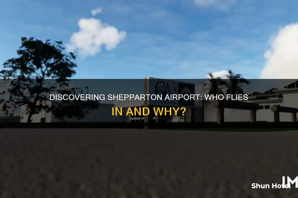 who flies to shepparton airport