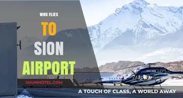 Who Flies to Sion Airport? Exploring Its Unique Passenger Profile